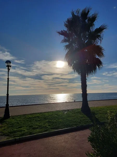 Сочи Mountain Race Camp