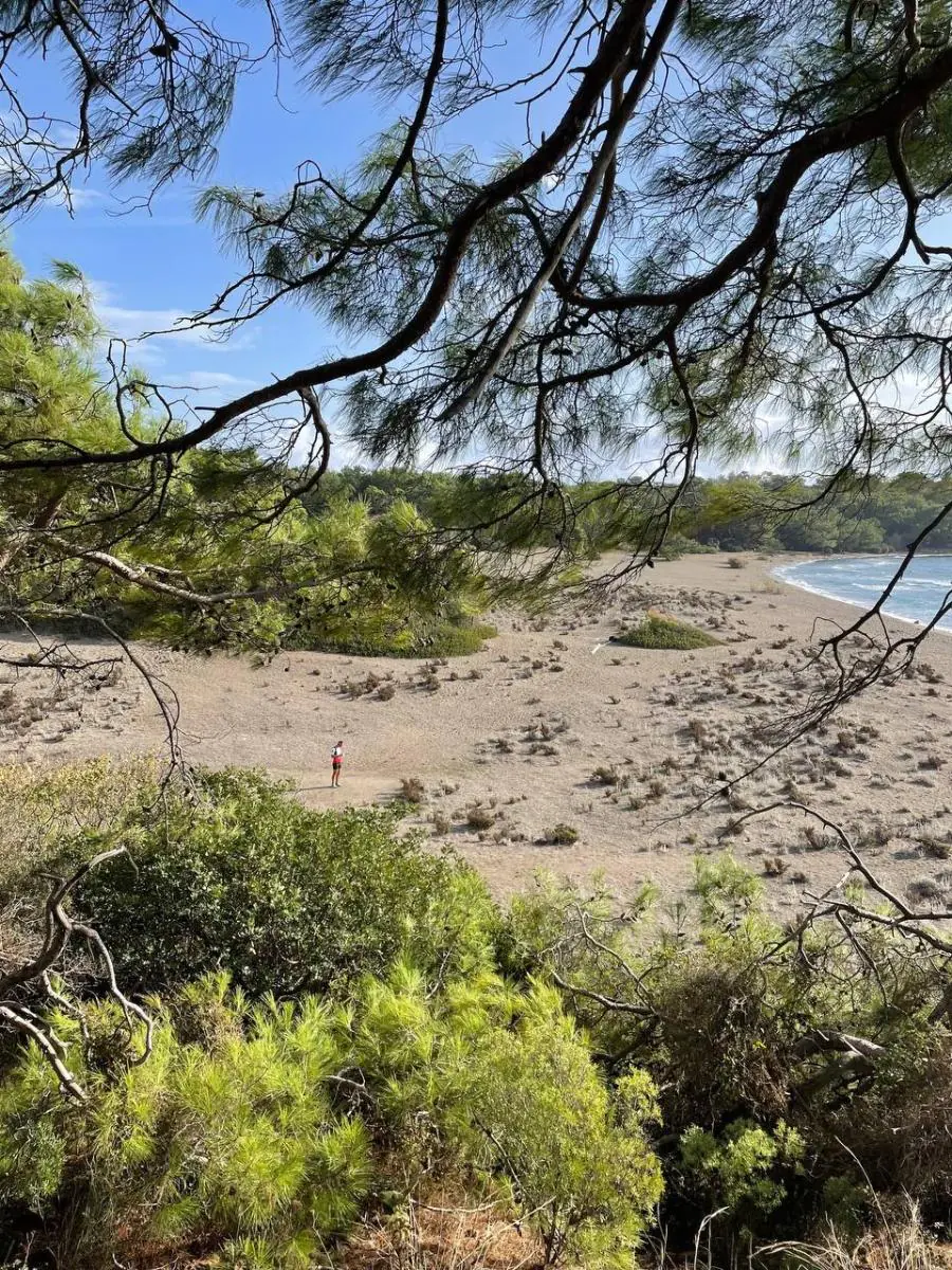 Фото кемпа 1