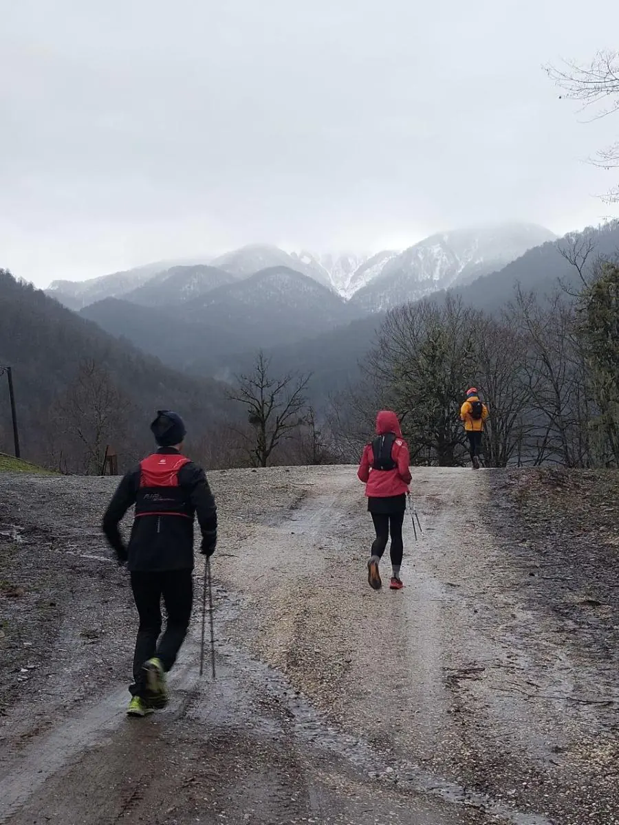 Фото кемпа 6