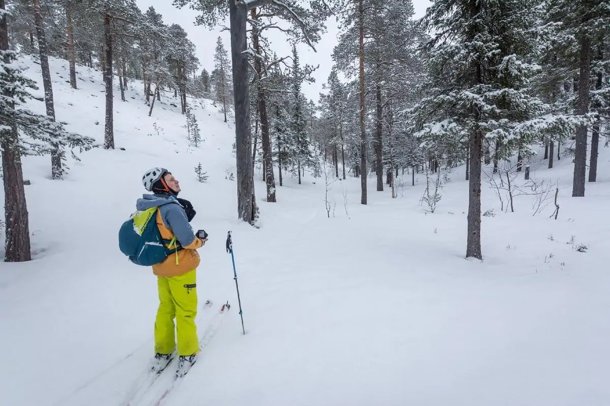 Фото кемпа 1