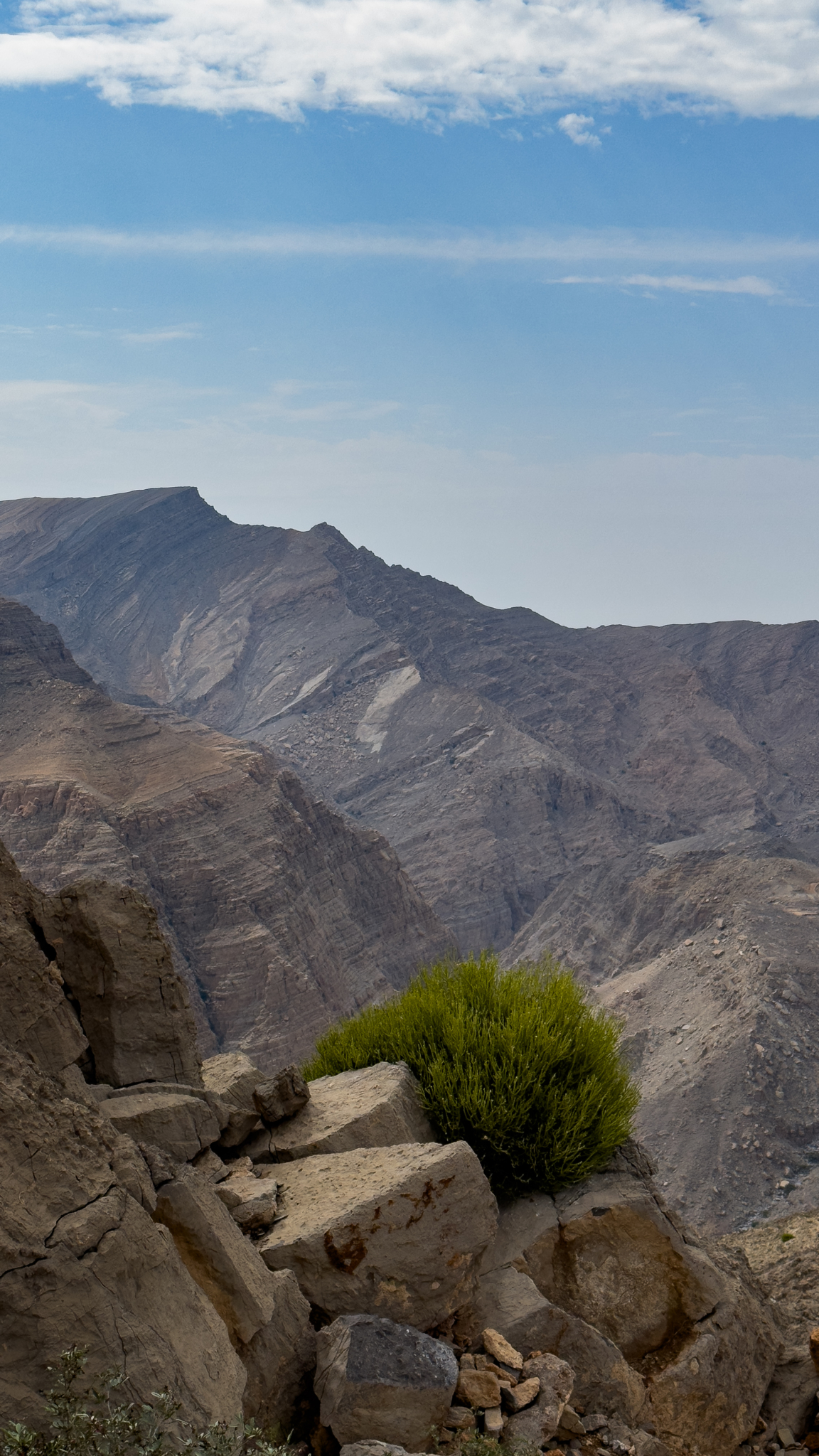 Фото кемпа 8