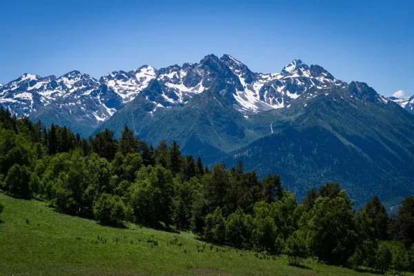 Беговой лагерь Архыз Mountain Race Camp перед Wild Trail