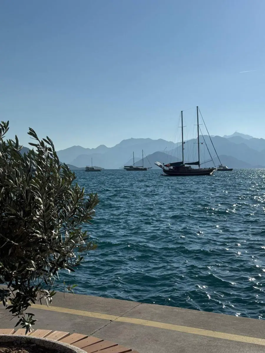 Фото кемпа 3