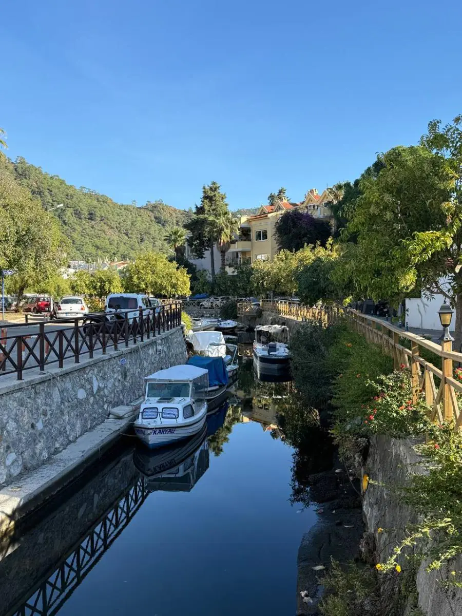 Фото кемпа 4